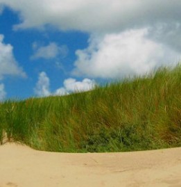 Ostfriesische Insel Norderney entdecken