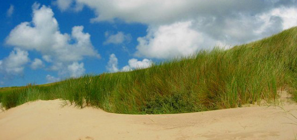 Ostfriesische Insel Norderney entdecken