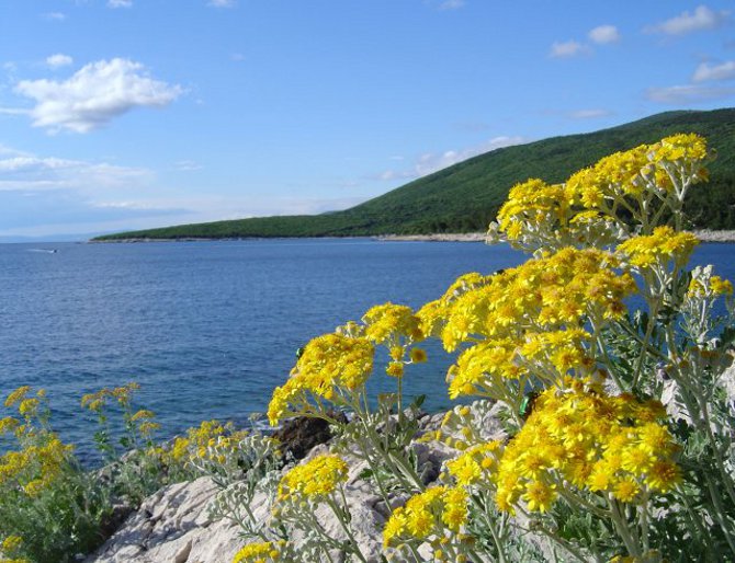 Kroatien Insel Cres