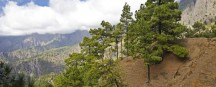Urlaub auf La Palma